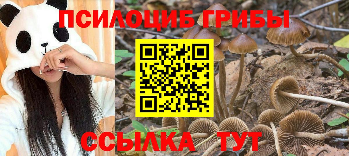 Галлюциногенные грибы мицелий  Вход с VPN  Ноябрьск 