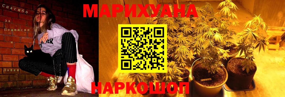 МАРИХУАНА семена Ноябрьск